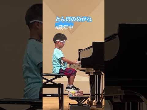 こども学科 とんぼのめがね