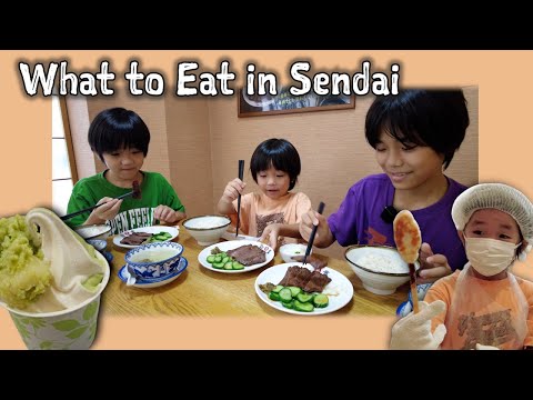 Sendai Gourmet Tour / Vlog / Sasakama, Gyutan, Zunda