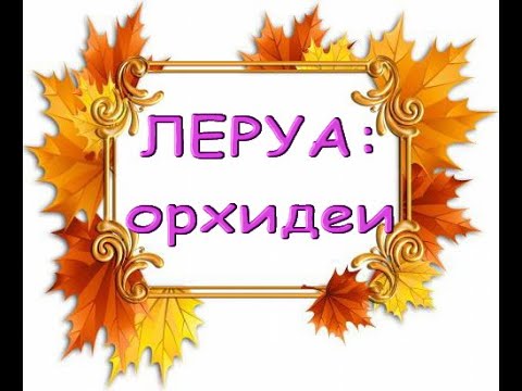 Леруа:ЧУДЕСНЫЙ завоз ОРХИДЕЙ,23.10.20,Самара,ТЦ"Космопорт".