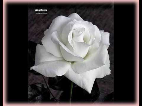 JAAN JODI AAVO SAYBA ----GUJARATI---LAGAN GEET SONG