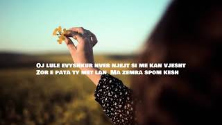 Shaban Doberdolani - Moj Bukuri