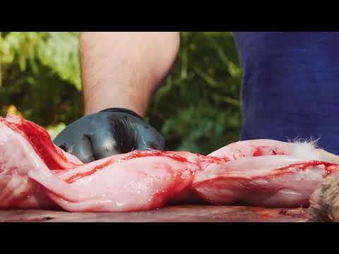How to skin a rabbit - a step-by-step guide