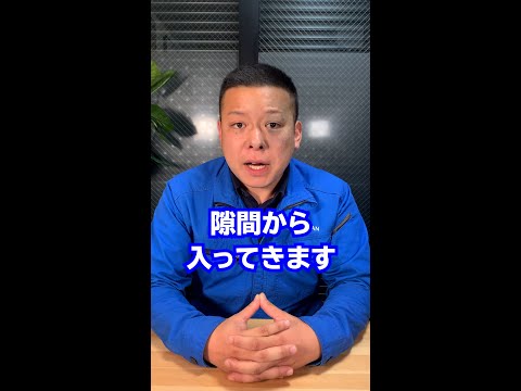 タマネギのウジ虫を取り除く方法は？ヒント、症状、治療法  庭園
