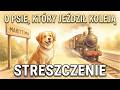 O Psie Który Jeździł Koleją Streszczenie Roman Pisarski