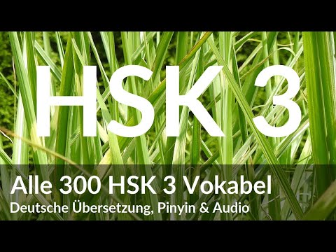 HSK 3 Vokabelliste mit Pinyin, deutscher Übersetzung & Audio