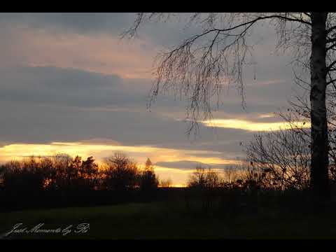 Rainer Maria Rilke ~ Wenn es nur einmal so ganz stille wäre