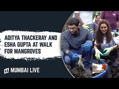Walk For Mangroves: A Bhamla Foundation Initiative was Graced By Aditya Thackeray, Esha Gupta, Zorawar Kalra and Malhar Kalambe