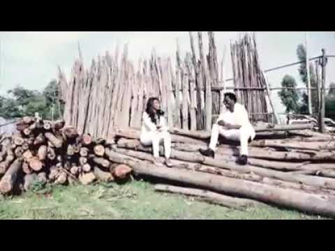 *Dibaabee * NEW * oromoo music