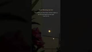 Download lagu Wake Up With Love 🌸 Good Morning Quotes for Couples mp3 Download lagu Wake Up With Love 🌸 Good Morning Quotes for Couples mp3