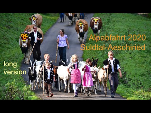 Alpapzug Suldtal Aeschi. Descent of the cows September 2020