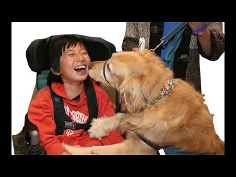 Anthony Muth vs Tracy Chapman - All that you have is your soul