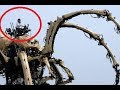 Incredible Machines You WOULDN'T Believe Existed