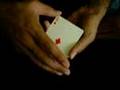Shape Of My Heart 