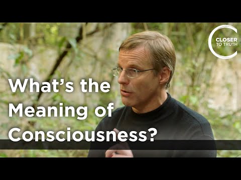 What’s the Meaning of Consciousness?