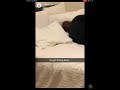 Tickling Elmo Funny Snapchats 1