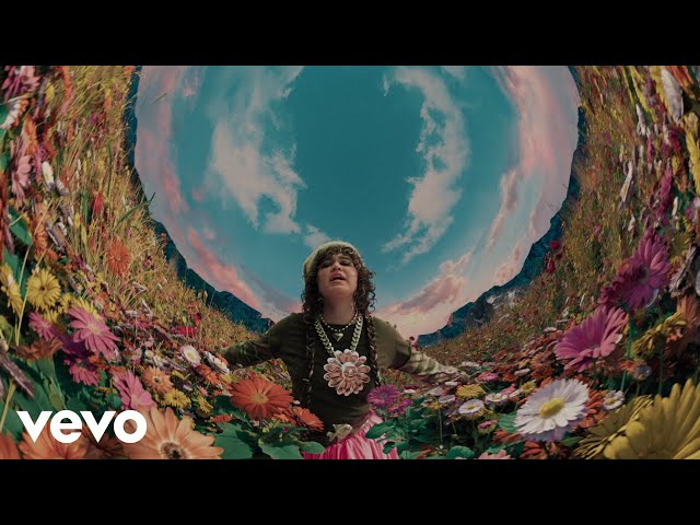 Zedd: Descubre la Historia detrás del Artista Musical más innovador