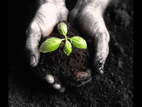 Fuzuli & Bysem & Oscar - Toprak