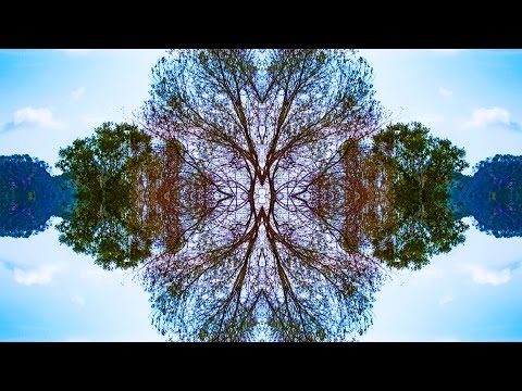 Why is symmetry beautiful?