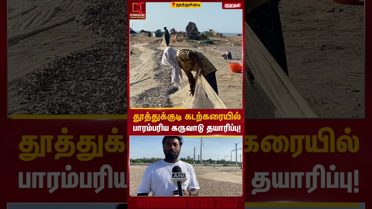 தூத்துக்குடி கடற்கரையில் பாரம்பரிய கருவாடு தயாரிப்பு! | Thoothukudi Dry Fish | Nethili | KumudamNews