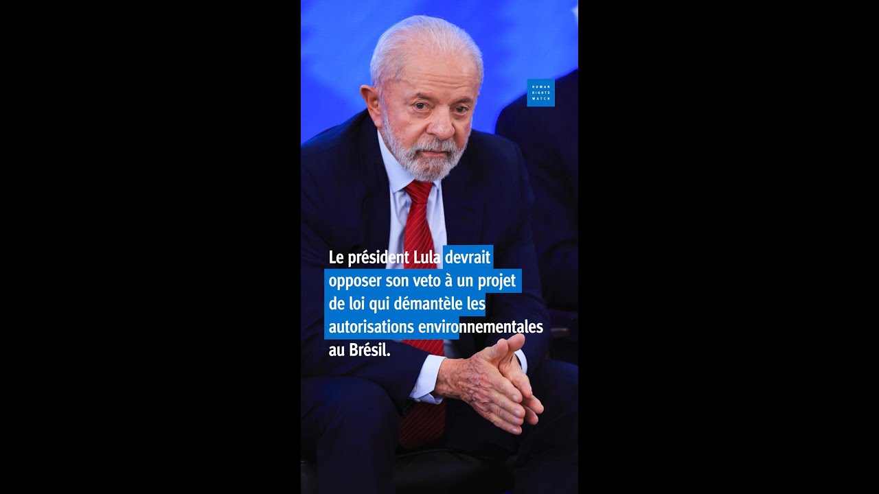 Brésil : Projet de loi préjudiciable à l'environnement (08/08/25)