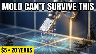 The $5 Trick That Stops Your Shower From Molding Forever!