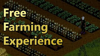 Level 10 Farming Without Planting Anything
