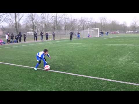 ww zuidvogels prt4