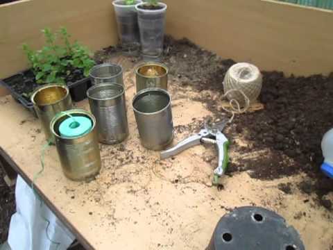 7 DIY Strawberry Planter Ideas and Plans for the Best Strawberries! - Outdoor Happens Homestead