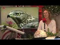 Wat is er te doen in Flevoland?