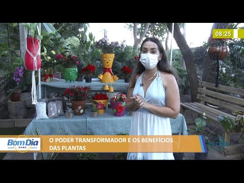 O poder transformador e os benefiÌcios das plantas 01 09 2021