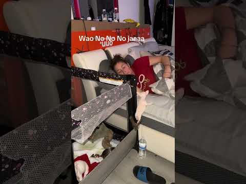 @mayimanzano7: #dog #doglover