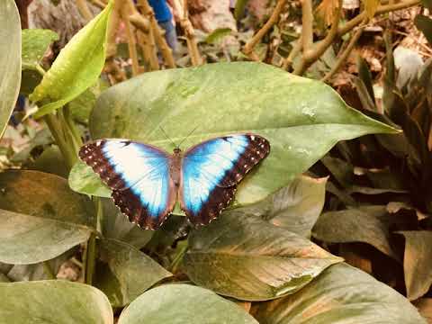 Reinier Zonneveld Moby Cari Golden - Shine Time 02