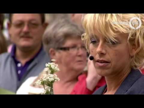 Zomer in Gelderland 17 augustus 2010