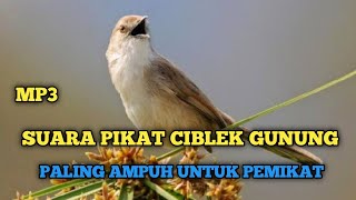 Download lagu SUARA PIKAT CIBLEK GUNUNG || Cigun Paling Ampuh mp3