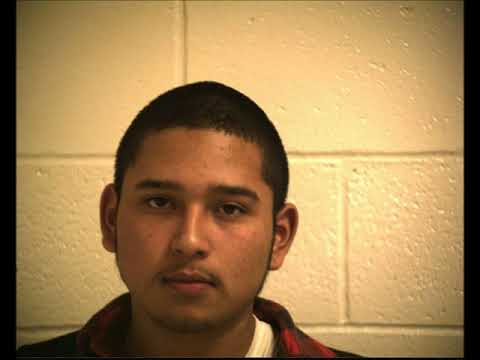 GtReala - The Race Freestyle