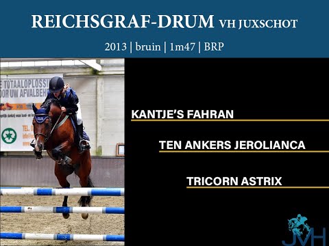 Reichsgraf-Drum vh Juxschot - 2013 pony hengst
