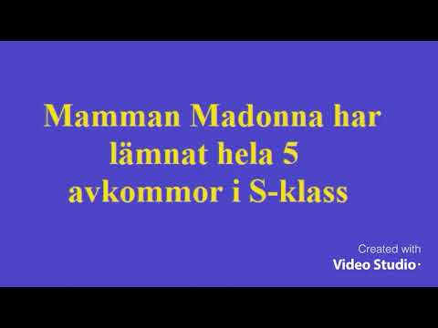 Cogito GB Approved stallion