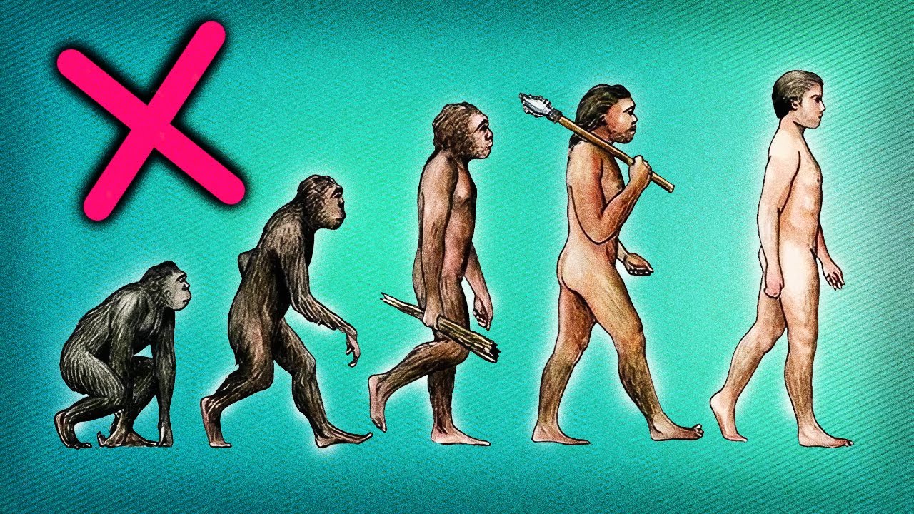 a EVOLUÇÃO HUMANA está ERRADA