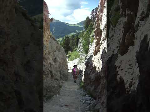 090a - Dolomiti - 2016-08
