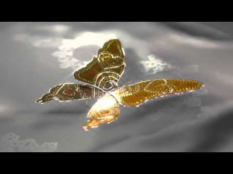 Video Background Full HD Butterfly Gold