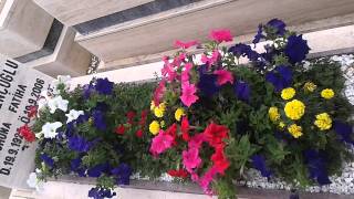 ANKARA MEZAR BAKIM HİZMETLERİ CEYLAN MZ  BAKIM 05366825001