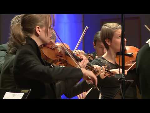 Antonín Dvořák: Serenade for strings, 1. Moderato