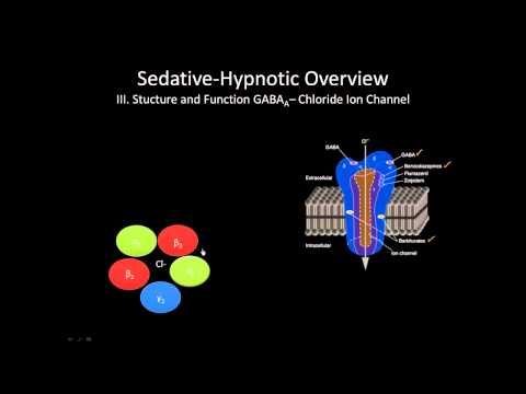 O receptor GABA | Como funciona?