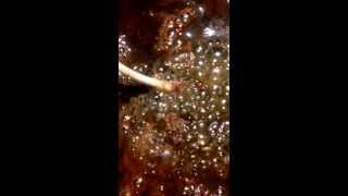 Ion spa foot detox demo part 3