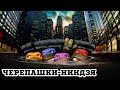 Trailer