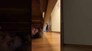 Download lagu Under bed prank(@bokdeuk on TT) mp3