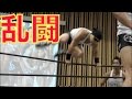 大乱闘？プロレスのリングに乱入！！