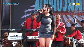 Download lagu PRAPATAN CELENG | LELA MONICA | THE REAL DANGDUT PANTURA | NEW MARCOPOLLO | DUKUH WANGON 03/10/2025 mp3 Download lagu PRAPATAN CELENG | LELA MONICA | THE REAL DANGDUT PANTURA | NEW MARCOPOLLO | DUKUH WANGON 03/10/2025 mp3