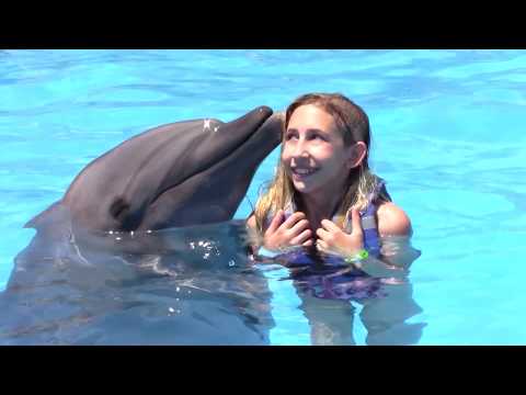 Happy Birthday Inara!! (2020)