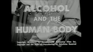 Le Tigre - Slideshow at Free University (Fan Music Video)